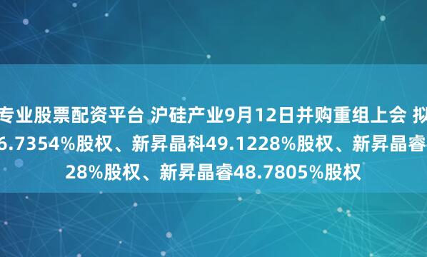 专业股票配资平台 沪硅产业9月12日并购重组上会 拟购买新昇晶投46.7354%股权、新昇晶科49.1228%股权、新昇晶睿48.7805%股权