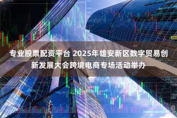专业股票配资平台 2025年雄安新区数字贸易创新发展大会跨境电商专场活动举办